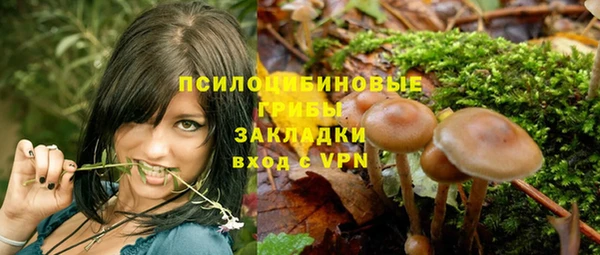 бутират Алексин