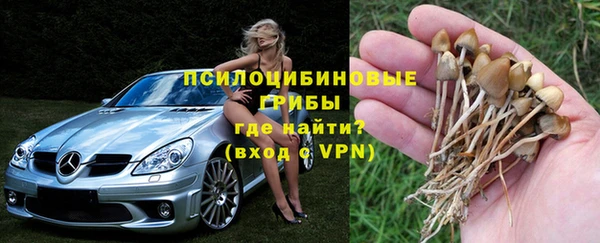 бутират Алексин