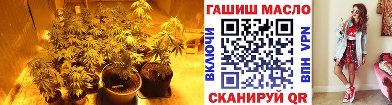 мориарти какой сайт  Лермонтов  Дистиллят ТГК жижа 